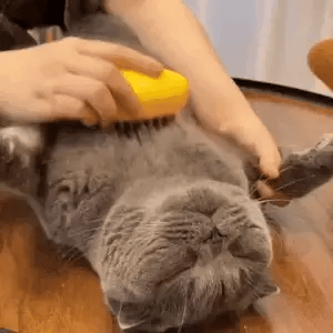 FurNova Groom Pro™️  3-in-1 Pet Grooming Brush