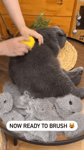 FurNova Groom Pro™️  3-in-1 Pet Grooming Brush